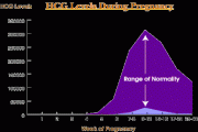 hCG Levels Chart