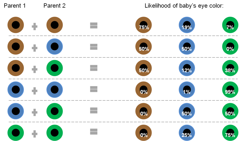 infant eye color